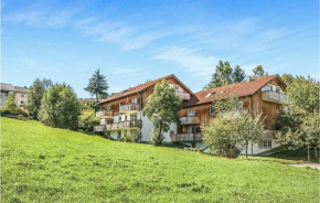 Nice apartment in Viechtach with Sauna, WiFi and Indoor swimming pool